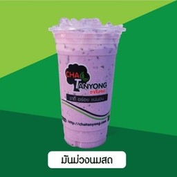 มันม่วงญี่ปุ่นนมสดเย็น