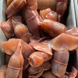 มหาชัย วาริน