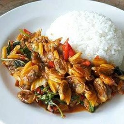 ข้าวเนื้อหอยลายผัดกระเพรา