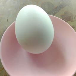 ไข่เค็ม