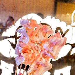 เบค่อน 10 ไม้ ปกติ150 บาทลดทันที 10 บาท