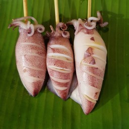 ปลาหมึกไข่ไซร์กลางตัวละ    50   บาท