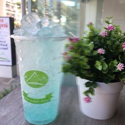 มิ้นท์โซดา