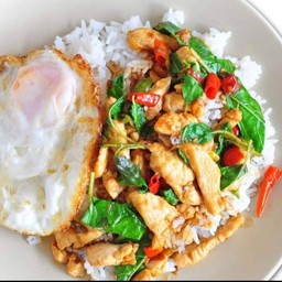 กระเพราไก่ ราดข้าว