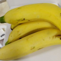 กล้วยหอมนมสดปั่น