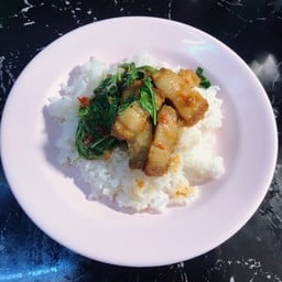 ข้าวกะเพราหมูทอด