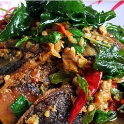 กระเพราไข่เยี่ยวม้า ราดข้าว