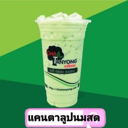 แคนตาลูปนมสด