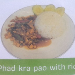 ผัดกระเพราะราดข้าว