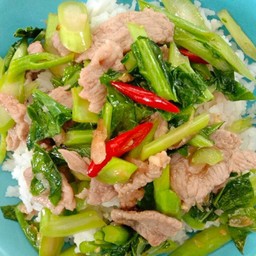 คะน้าหมูชิ้นราดข้าว
