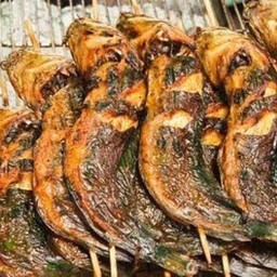 ปลาดุกย่าง