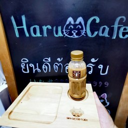 กาแฟเย็นซิดนี่