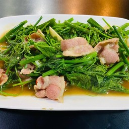 ผักแม้ว + เบคอนผัดน้ำมันหอย