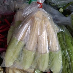 ข้าวโพคอ่อน