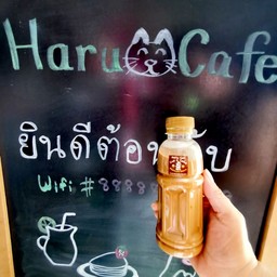 ชานมเนสมอคค่าฮารุจัง