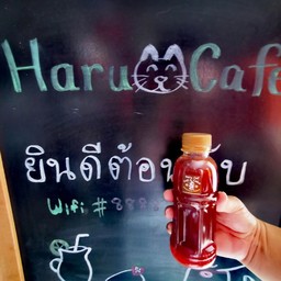 ชามะนาวฮารุจัง