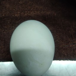 ไข่เค็ม