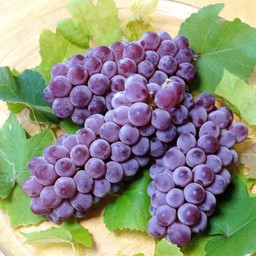 เจ้มจ้นสมูทตี้โยเกิร์ต- home