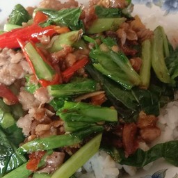 คะน้าหมูสับปลาเค็ม