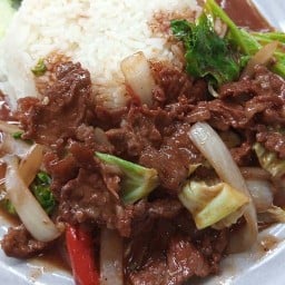 ร้านครัวคุณวิส ฮาลาล
