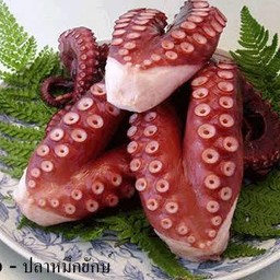 ทาโกะยากิปลาหมึก 5 ลูก
