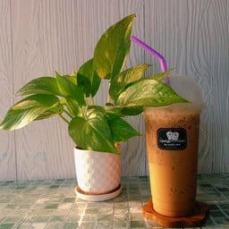 กาแฟเนส