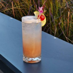 Wild Frosty cocktails