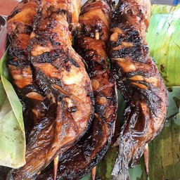 ปลาดุกย่าง1ตัว