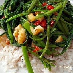 ผัดผักบุ้งราวข้าว