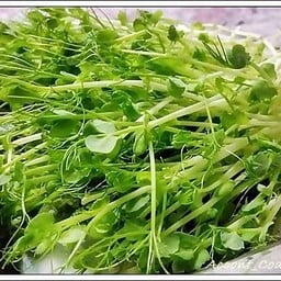 โต้วเหมียว