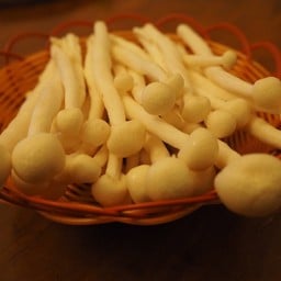 เห็ดหิมะขาว