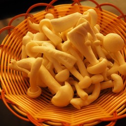 เห็ดชิเมจิ