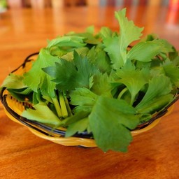 ขึ้นฉ่าย