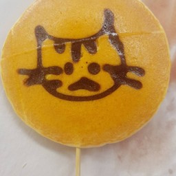 แมวบ้าน