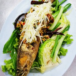 ปลาช่อนลุยสวน