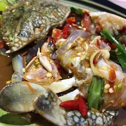 เหลาปูม้าา