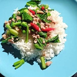 ข้าวคะน้าหมูสับ