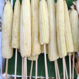 บ้านFlashน้ำใบ