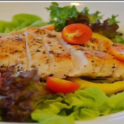 สลัดอกไก่