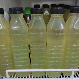 วุ้นใบเตย