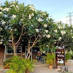 กาแฟหน้าบ้าน