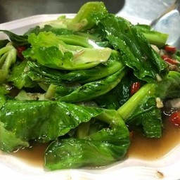 แขนงไฟแดง