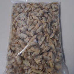 หอยลาย