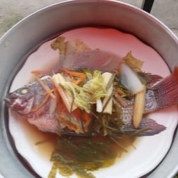 น้อยปลานึ่ง น้อยปลานึ่ง