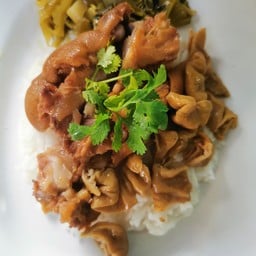 ข้าวคากิ+ไส้หมู