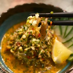 ยำปลาหมึกดองญี่ปุ่น Ika shiokara