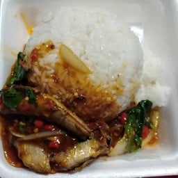 ข้าวกะเพราปลากระป๋อง