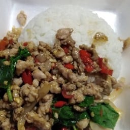 ข้าวกะเพราะหมู