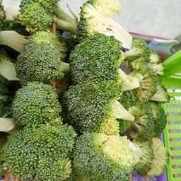 หม่าล่าน้องเฟิร์สกะพี่เฟส