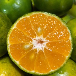 กรีนเฮ้าส์น้ำส้มคั้นสดแท้ 100%